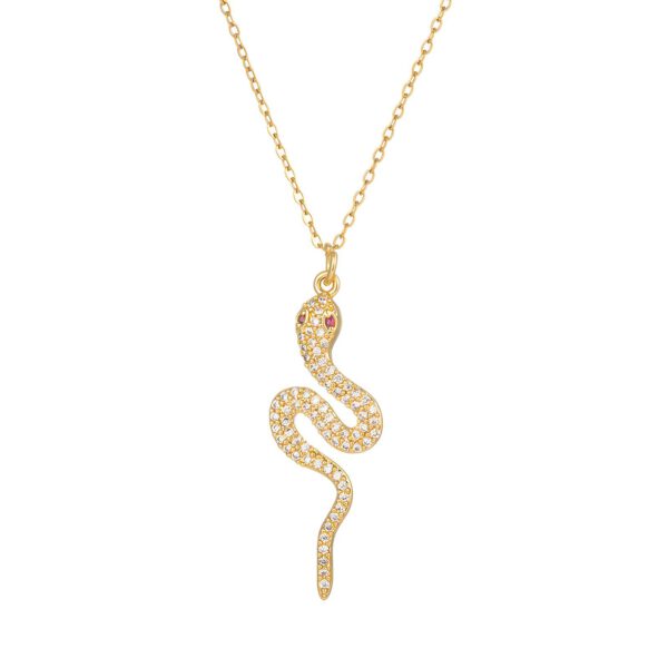 snake ketting